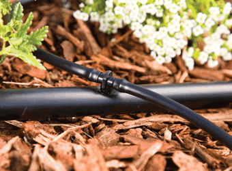 Optimize Your Watering: 1/4 Drip Tube for Precise Garden Irrigation